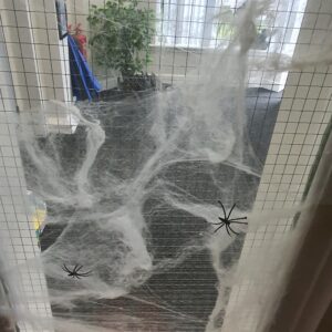 Radcliffe House Halloween decorations: fake cobwebs with spiders