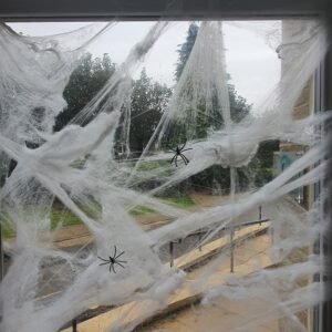 Radcliffe House Halloween decorations: fake cobwebs with spiders
