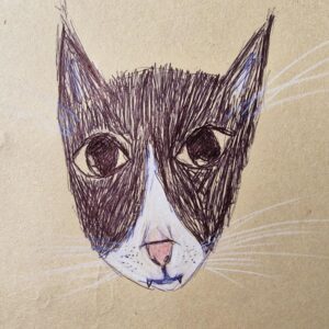 drawing of cat face