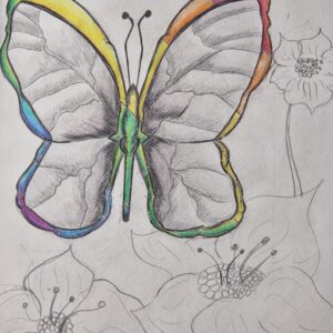 drawing of butterfly and flowers