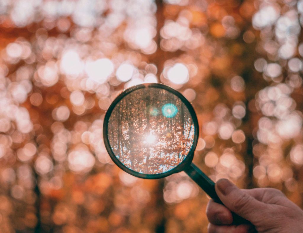 Magnifying glass in nature for a blog debunking mental health myths