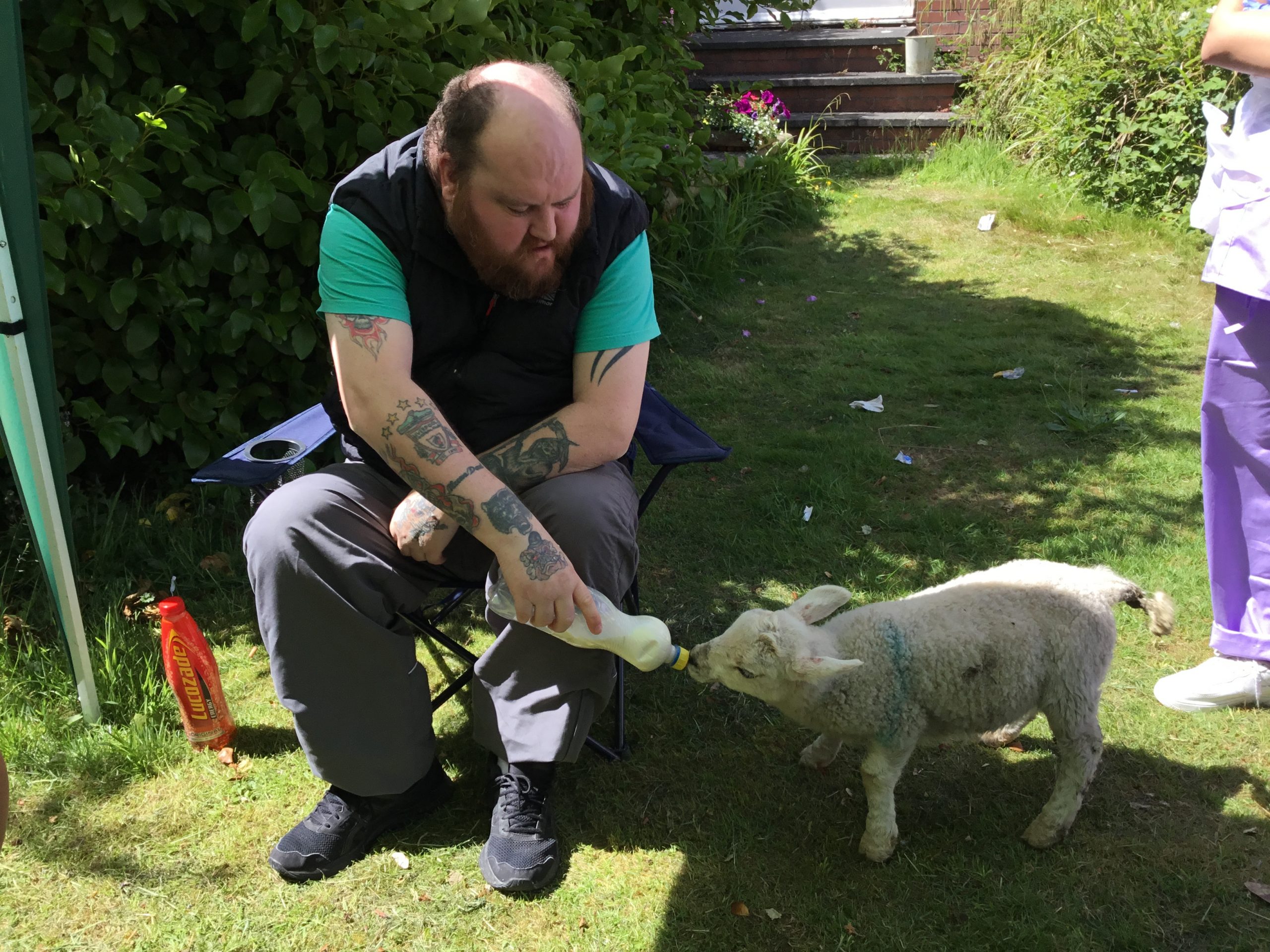 resident feeding a lamb from milk bottle