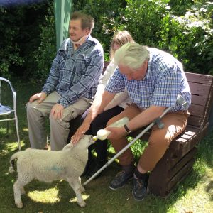 resident feeding lamb from milk bottle