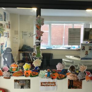 Montgomery House Autumn display