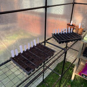 black plastic trays with soil and white labels with plant names on on metal rack