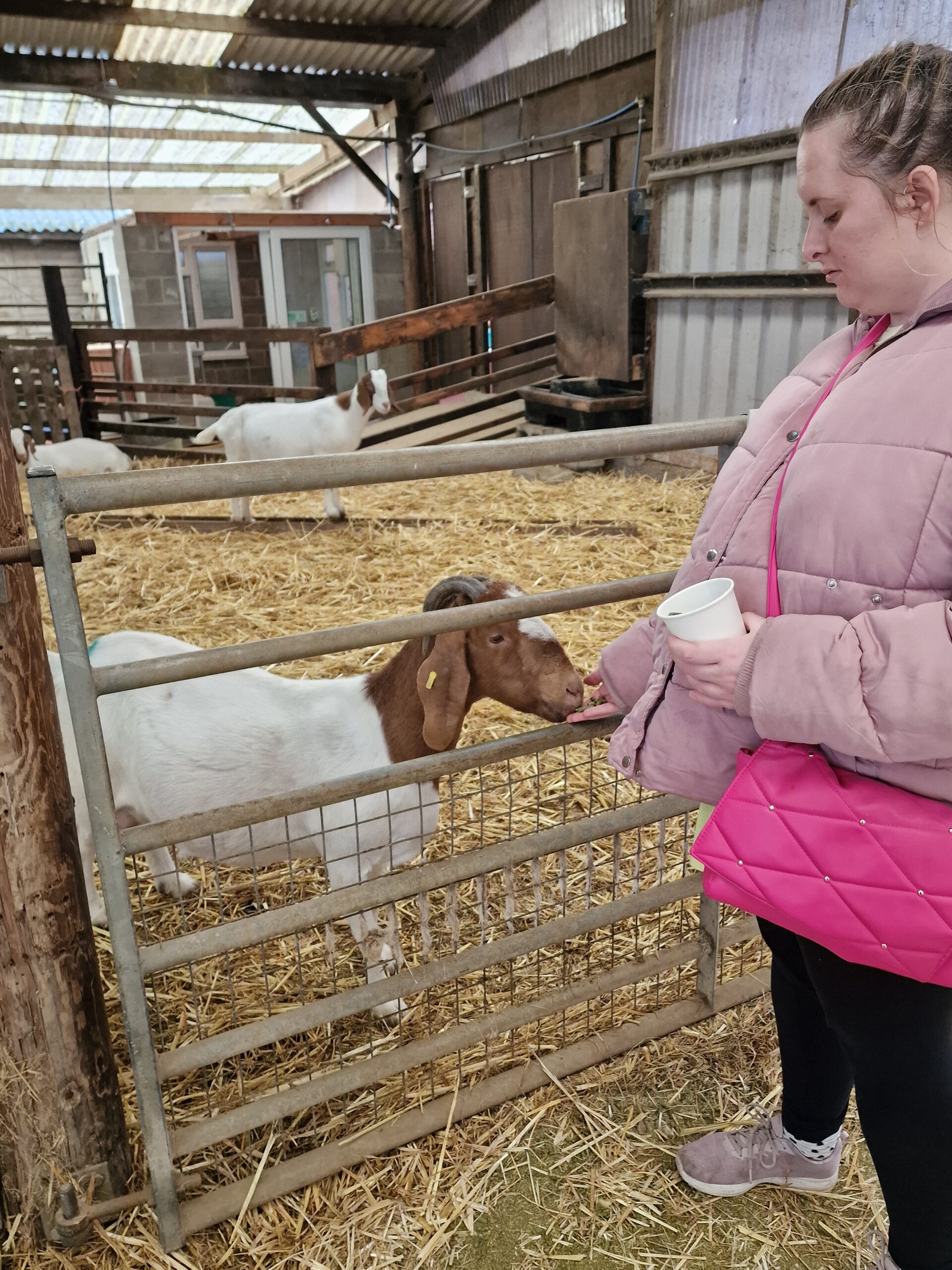 Honeysuckle Farm