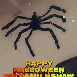 giant spider decoration