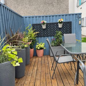 The final result of the garden makeover and renovation at Montgomery House in Bury, Greater Manchester, showing a thriving patio.