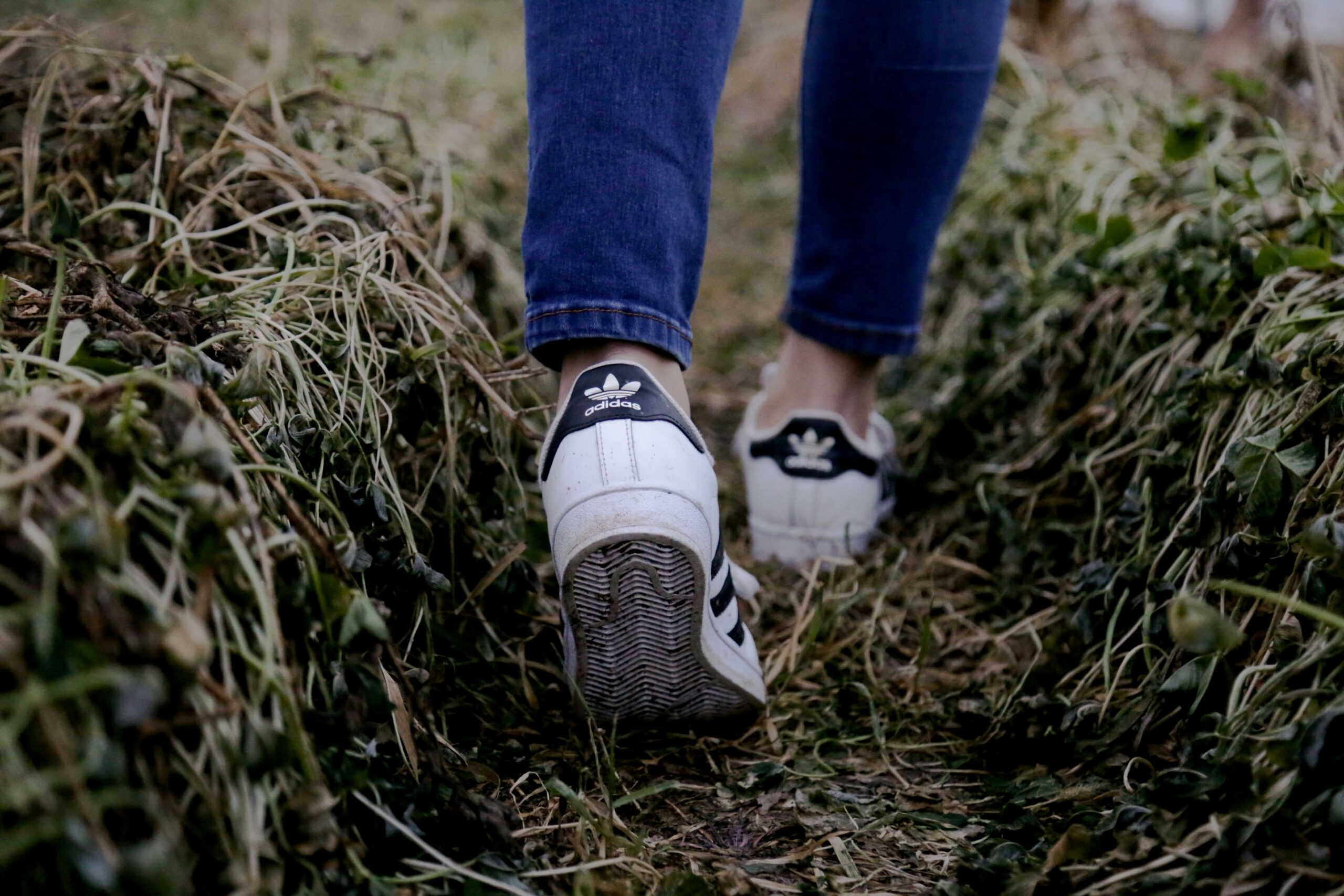 Trainers walking through muddy field