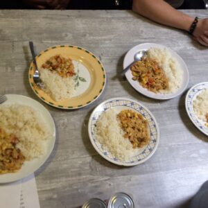 5 plates of food with rice