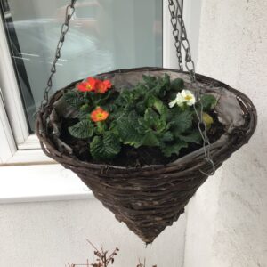 hanging flower basket with small red, orange and white flowers
