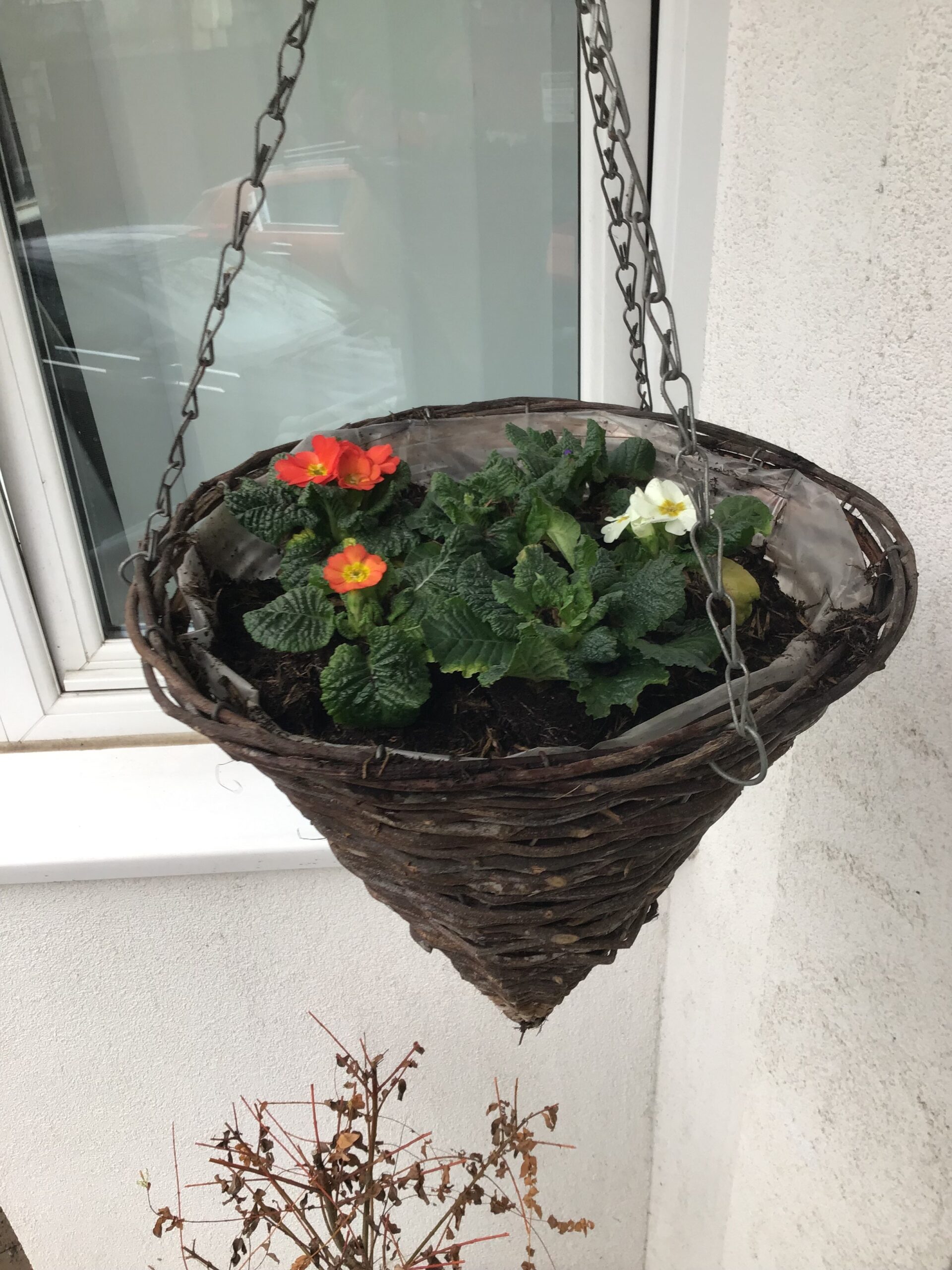 hanging flower basket with small red, orange and white flowers