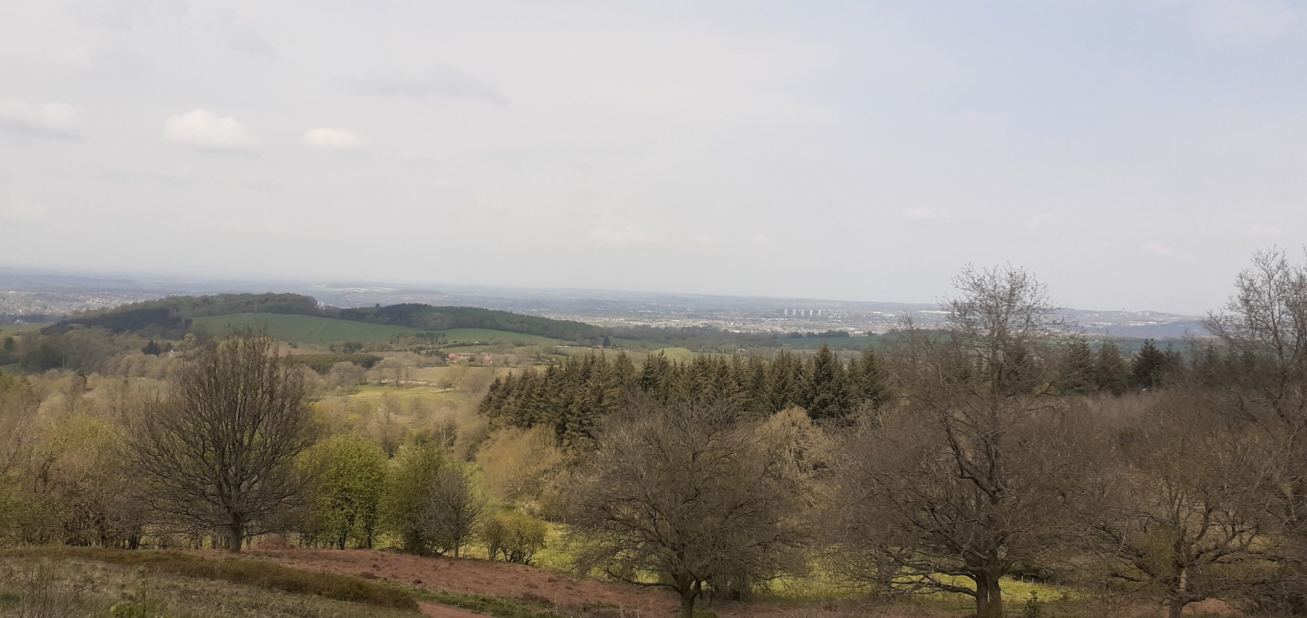 Connect with nature: clent walk