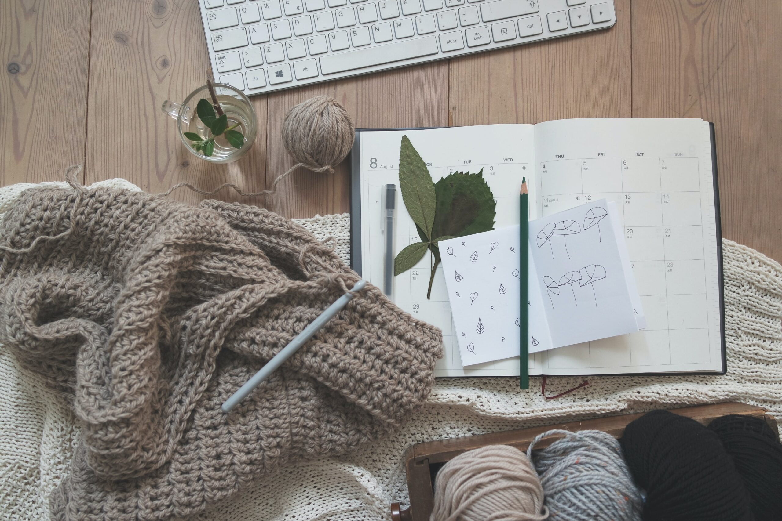 flatlay of books and knitting