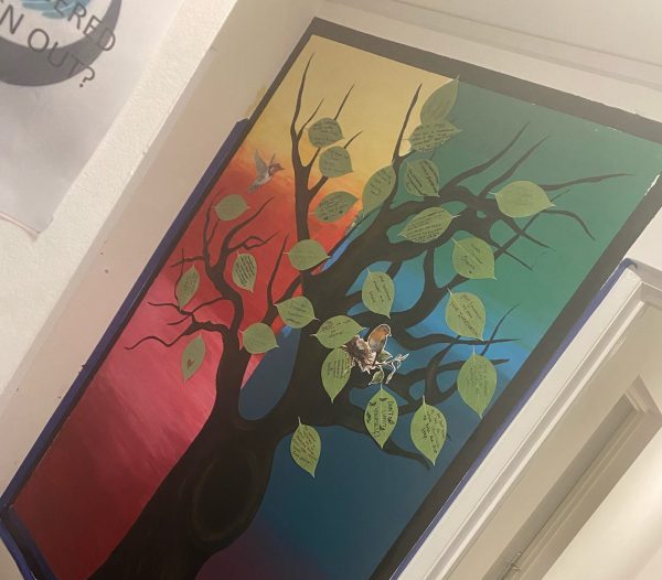 completed wall mural