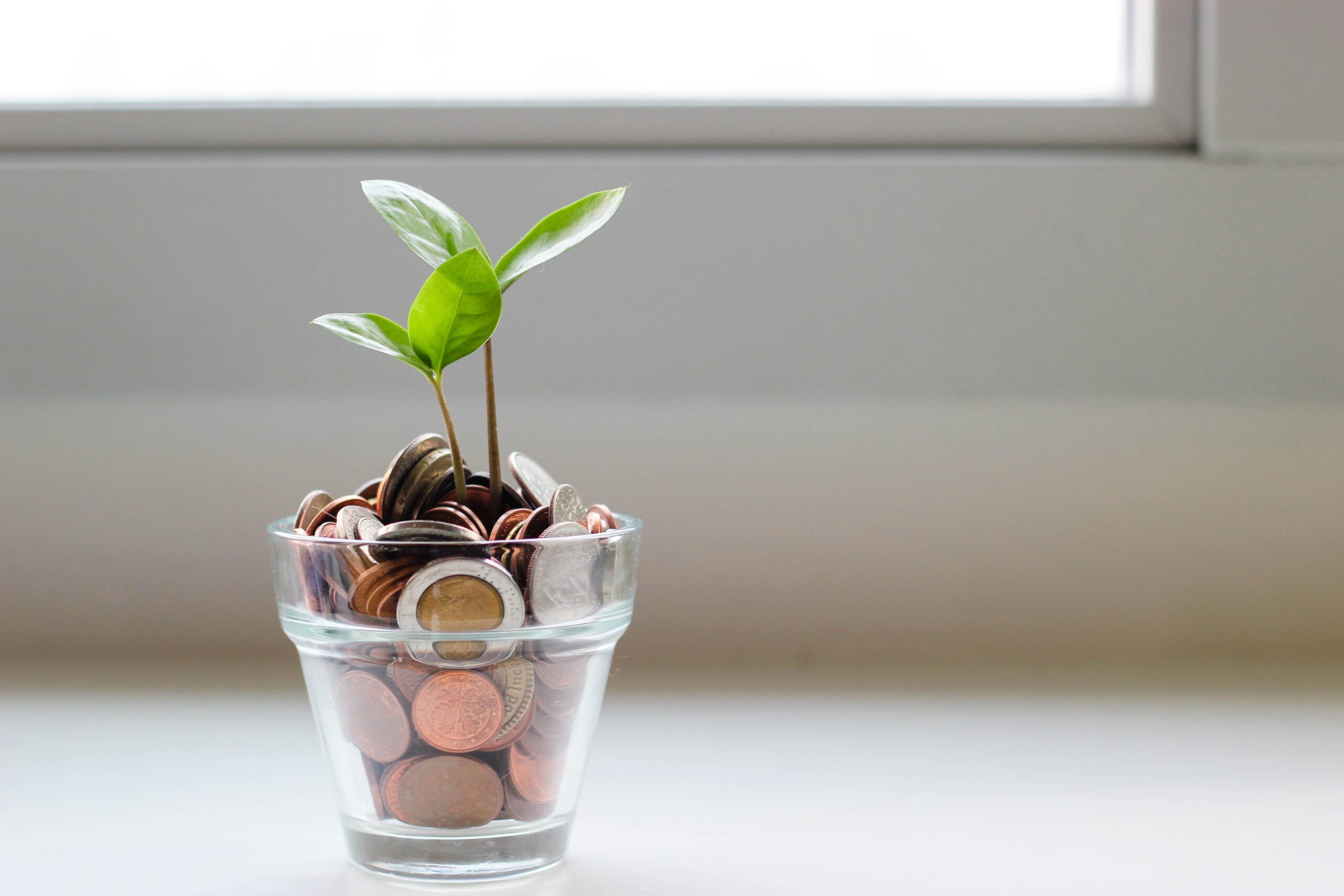 shot glass filled with coins and plant growing out the top
