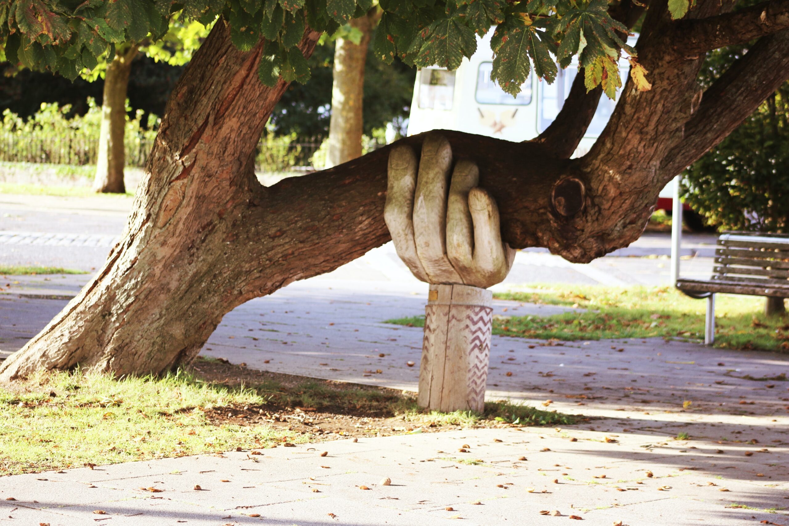 hand statue holding up a tree - support