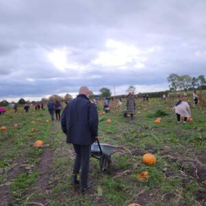resident with wheelbarrow on pumpkin farm