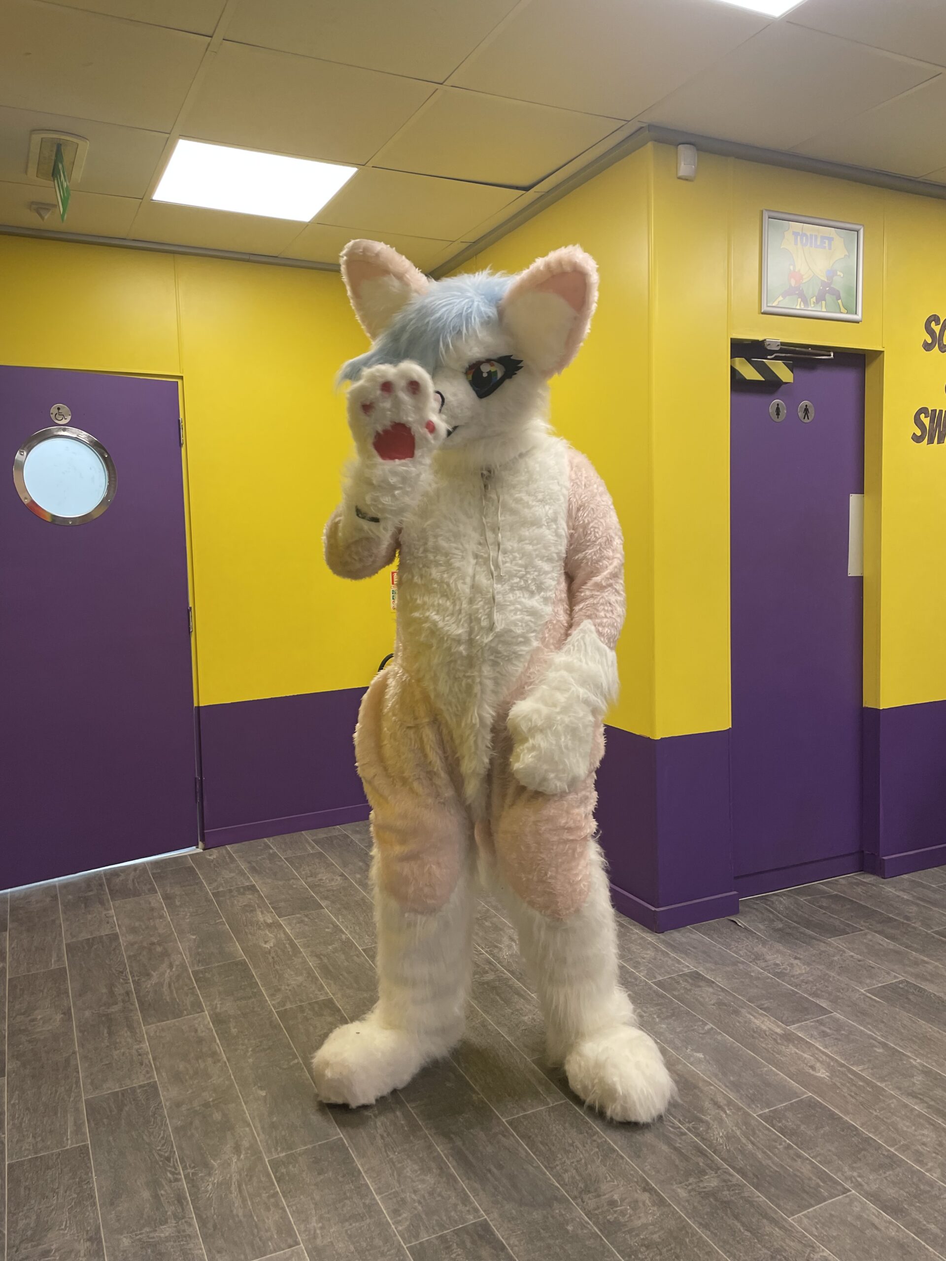 resident in homemade rabbit costume
