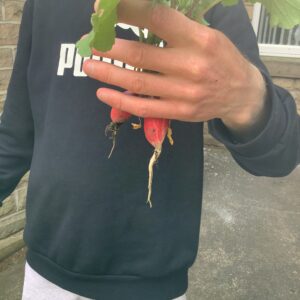 person holding up radish to camera