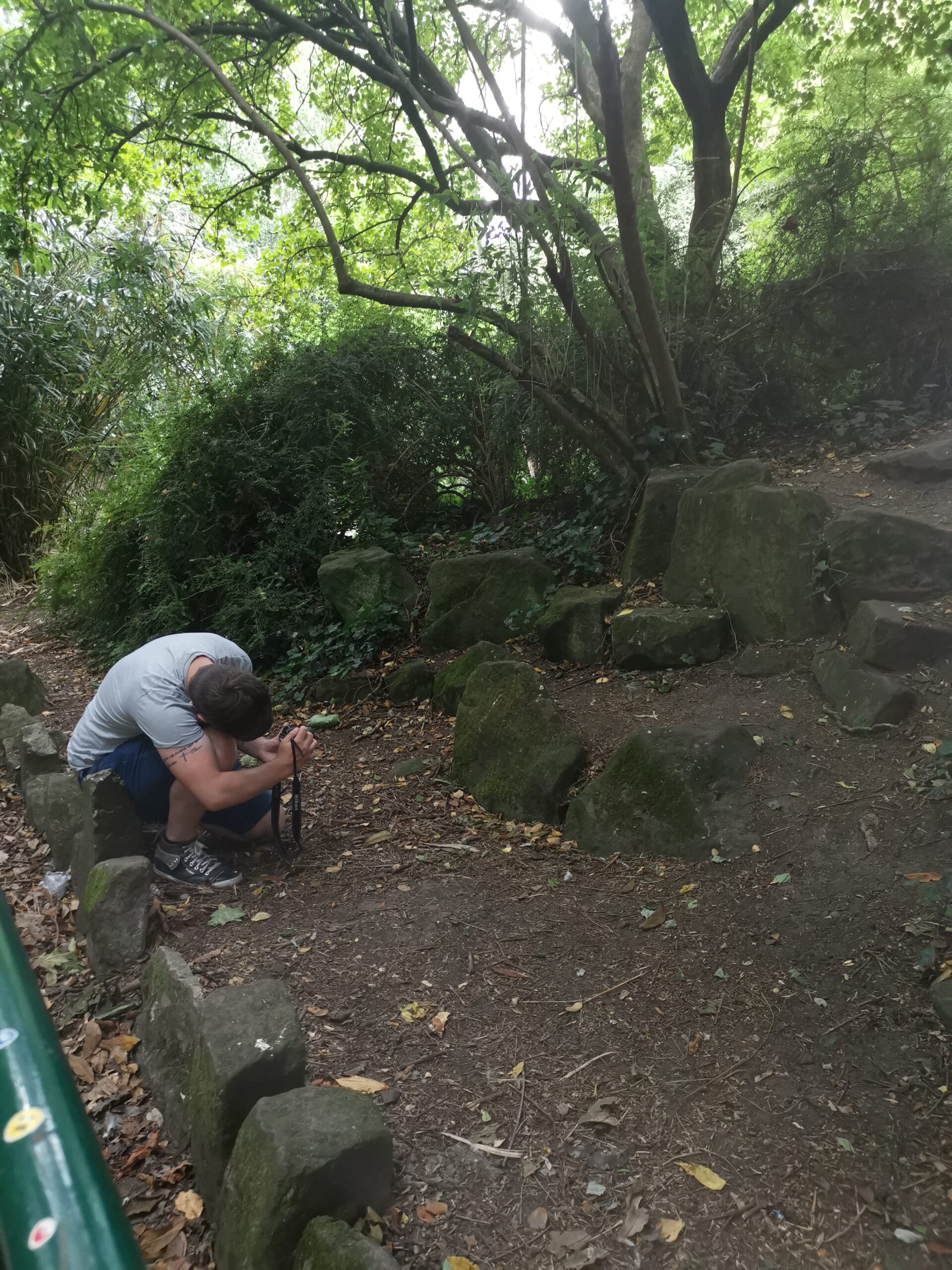 resident taking photo in woods