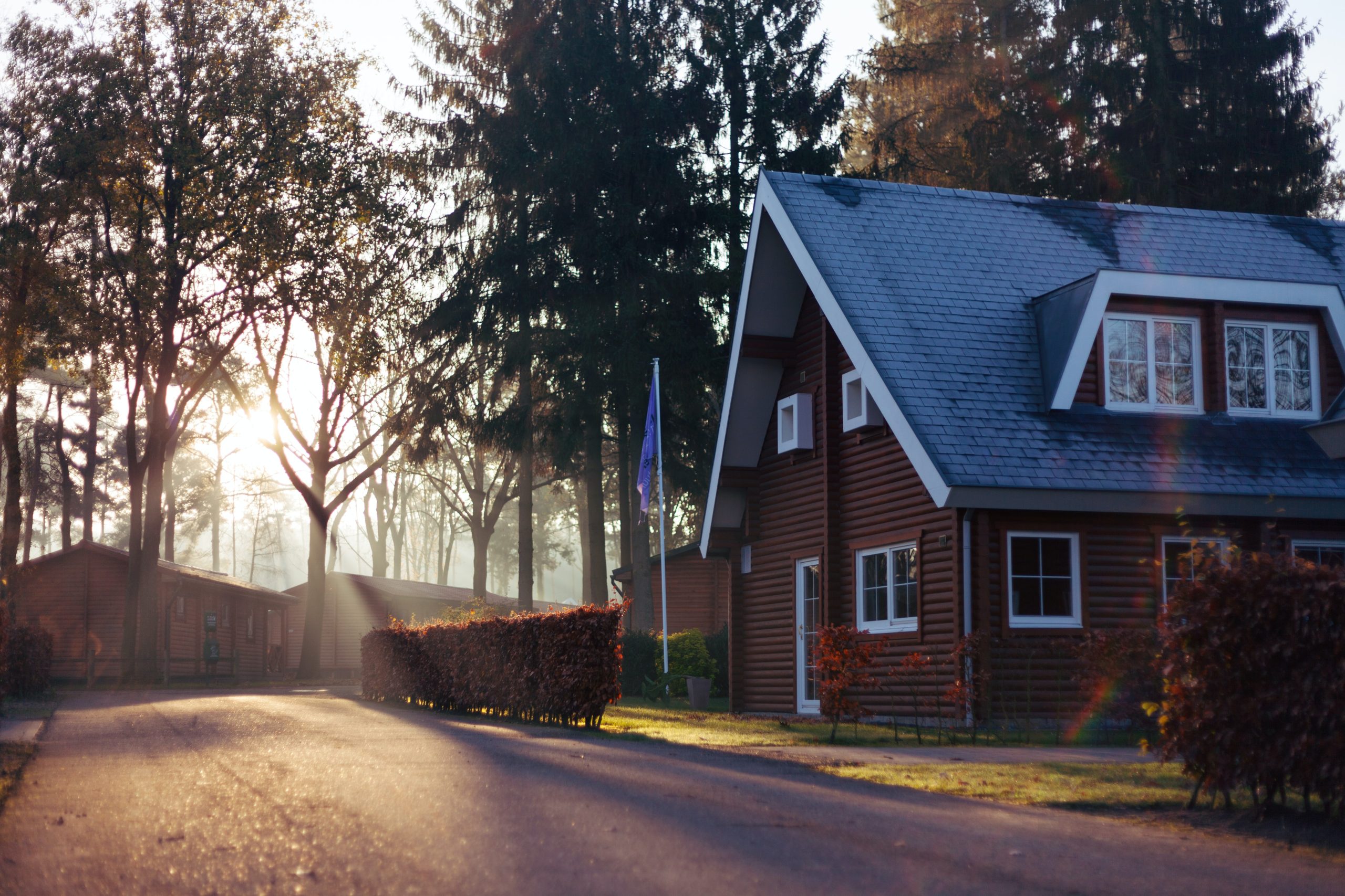 Resident's Stories: home illuminated by sunlight shining through trees