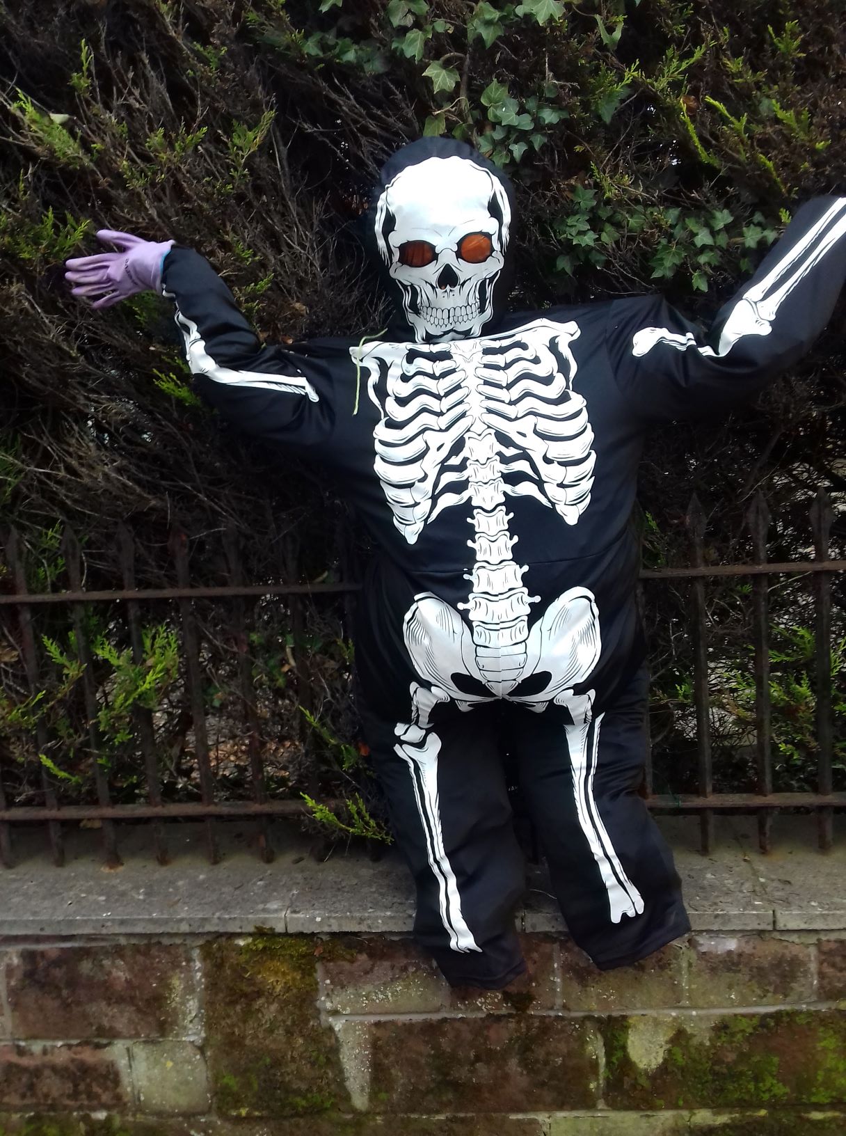 skeleton attached to fence outside