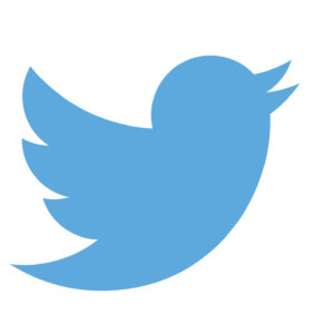 twitter logo - blue bird