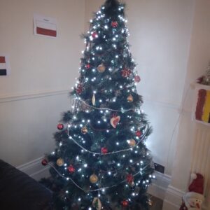 Glen Garth House Christmas tree