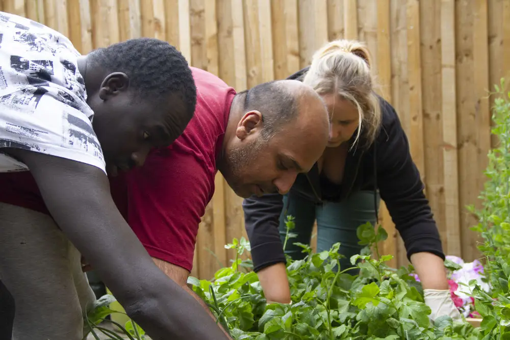 Resident gardening