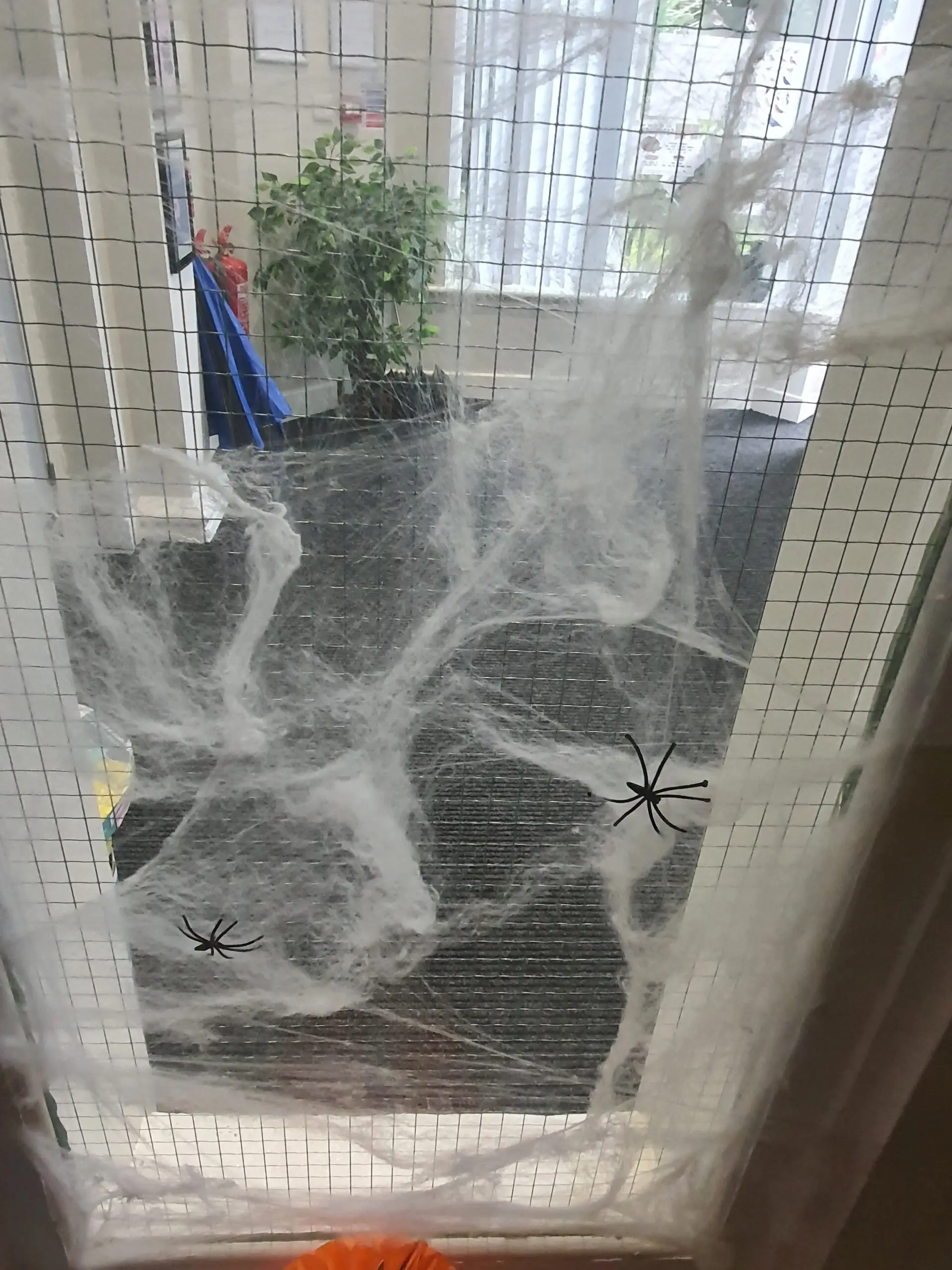 Radcliffe House Halloween decorations: fake cobwebs with spiders