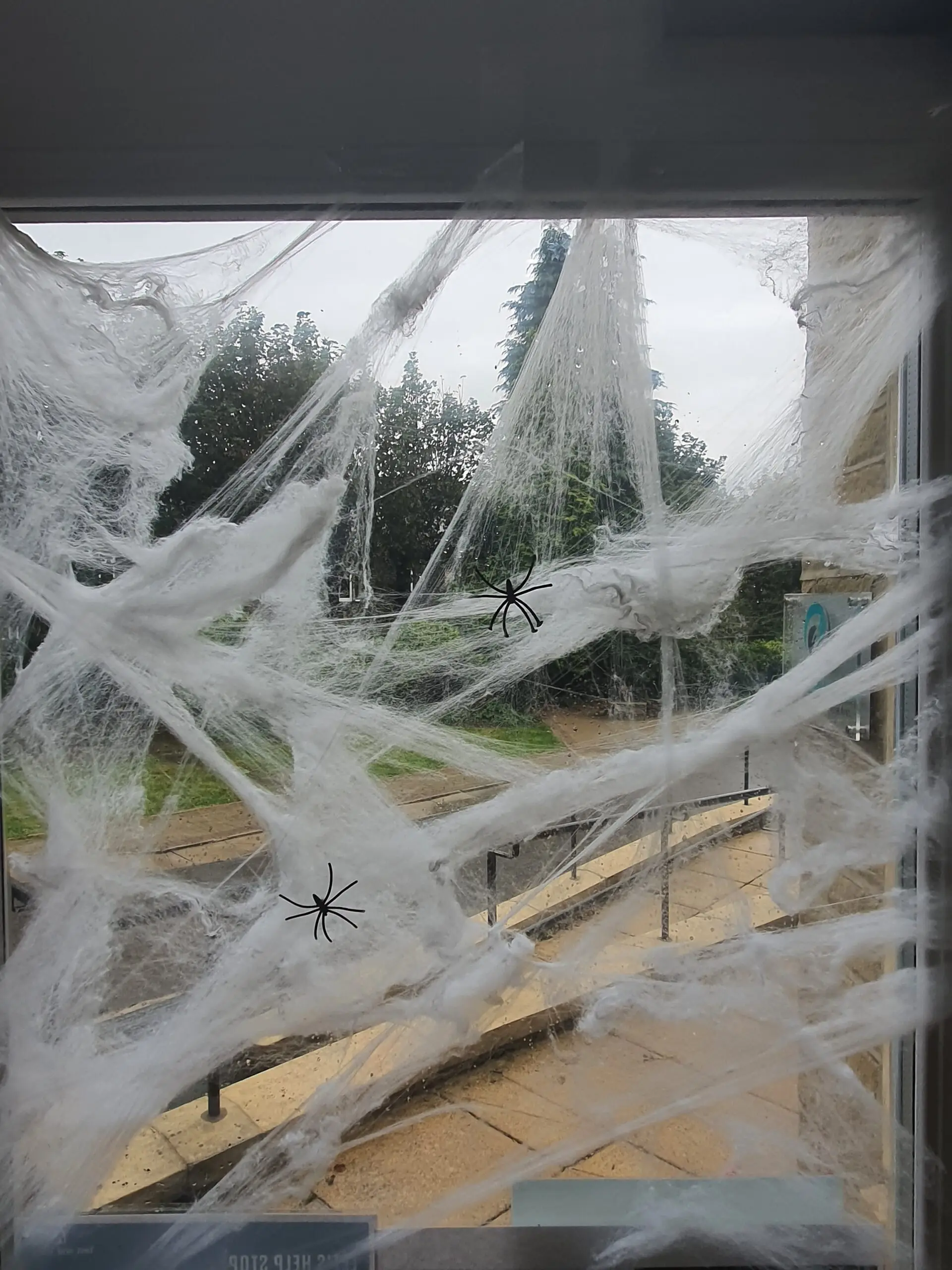 Radcliffe House Halloween decorations: fake cobwebs with spiders