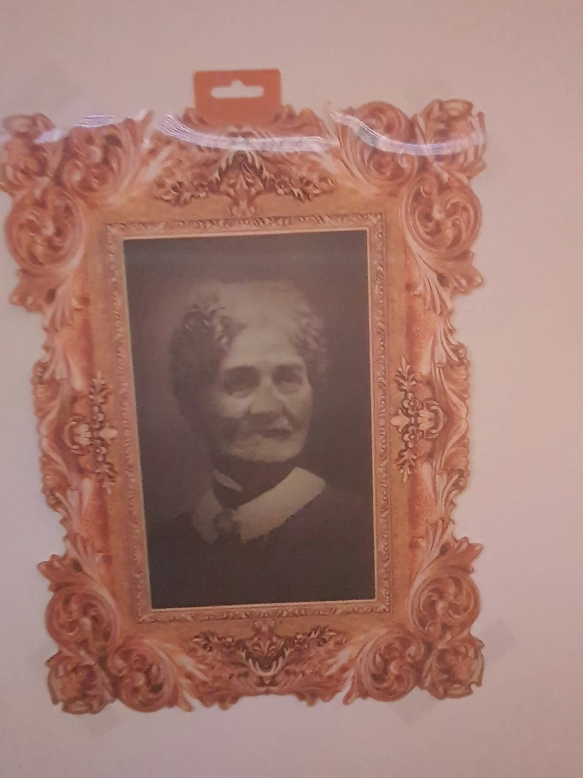 Radcliffe House Halloween decorations: haunted portrait image