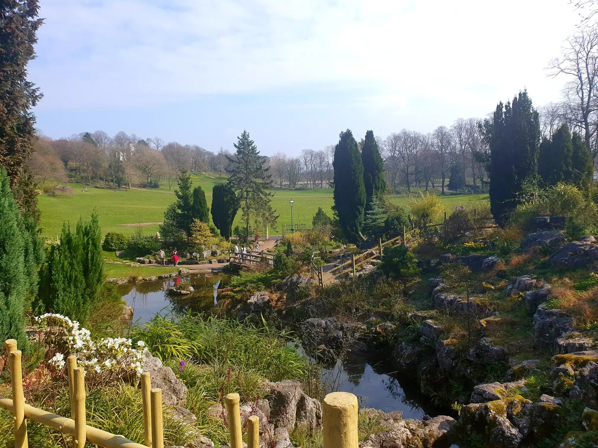 pond scene in the park