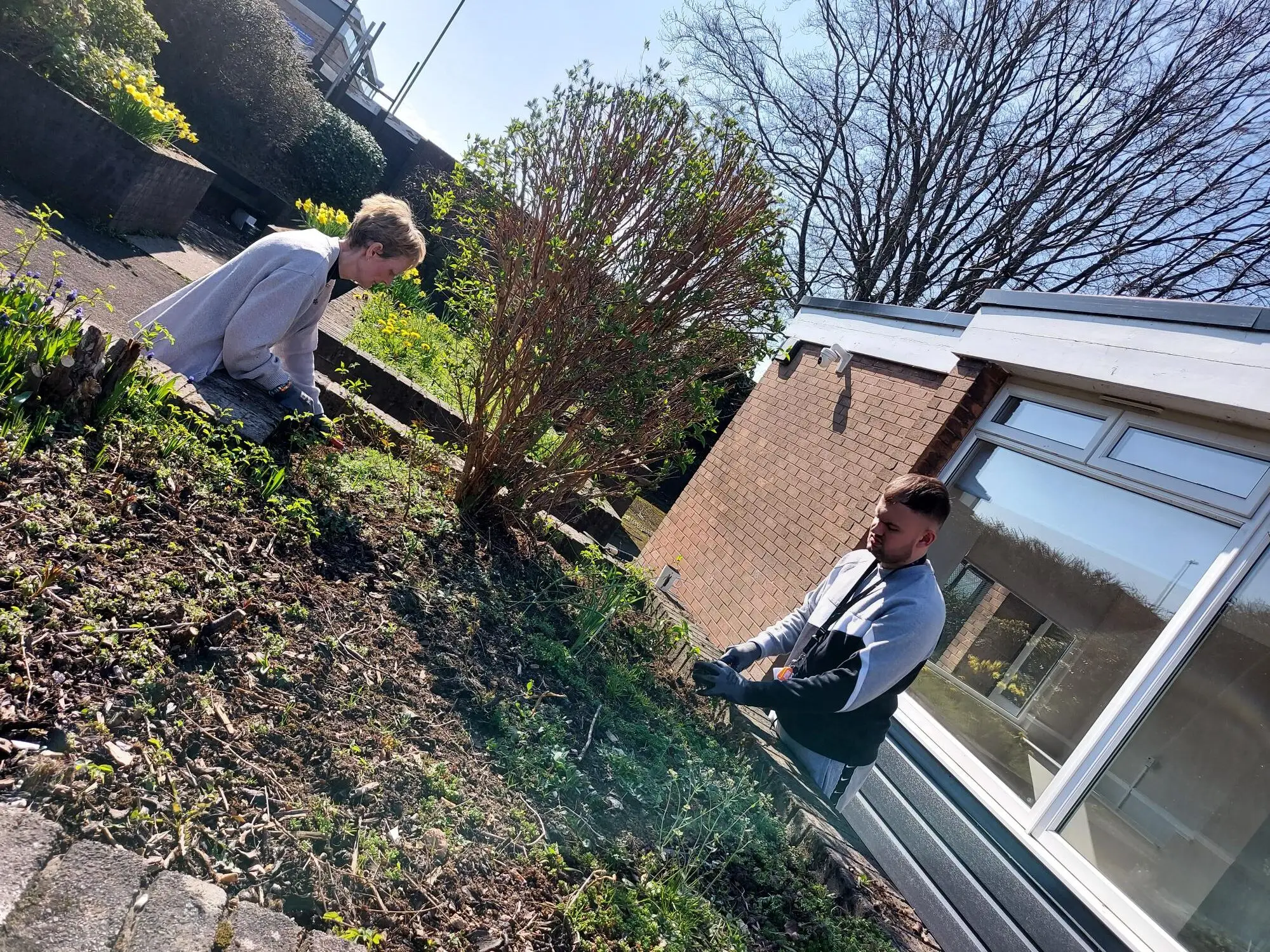 two males gardening