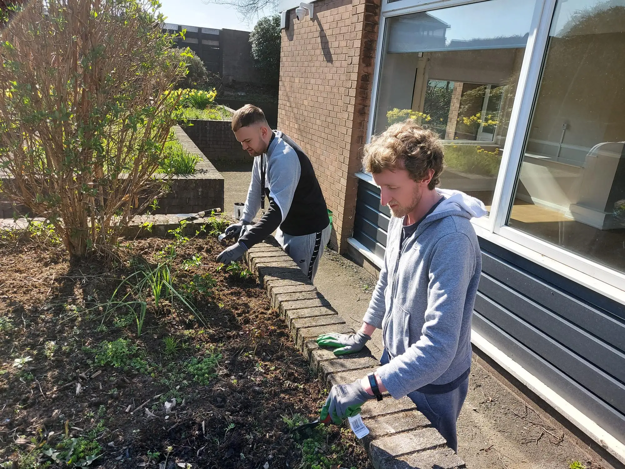 two males gardening