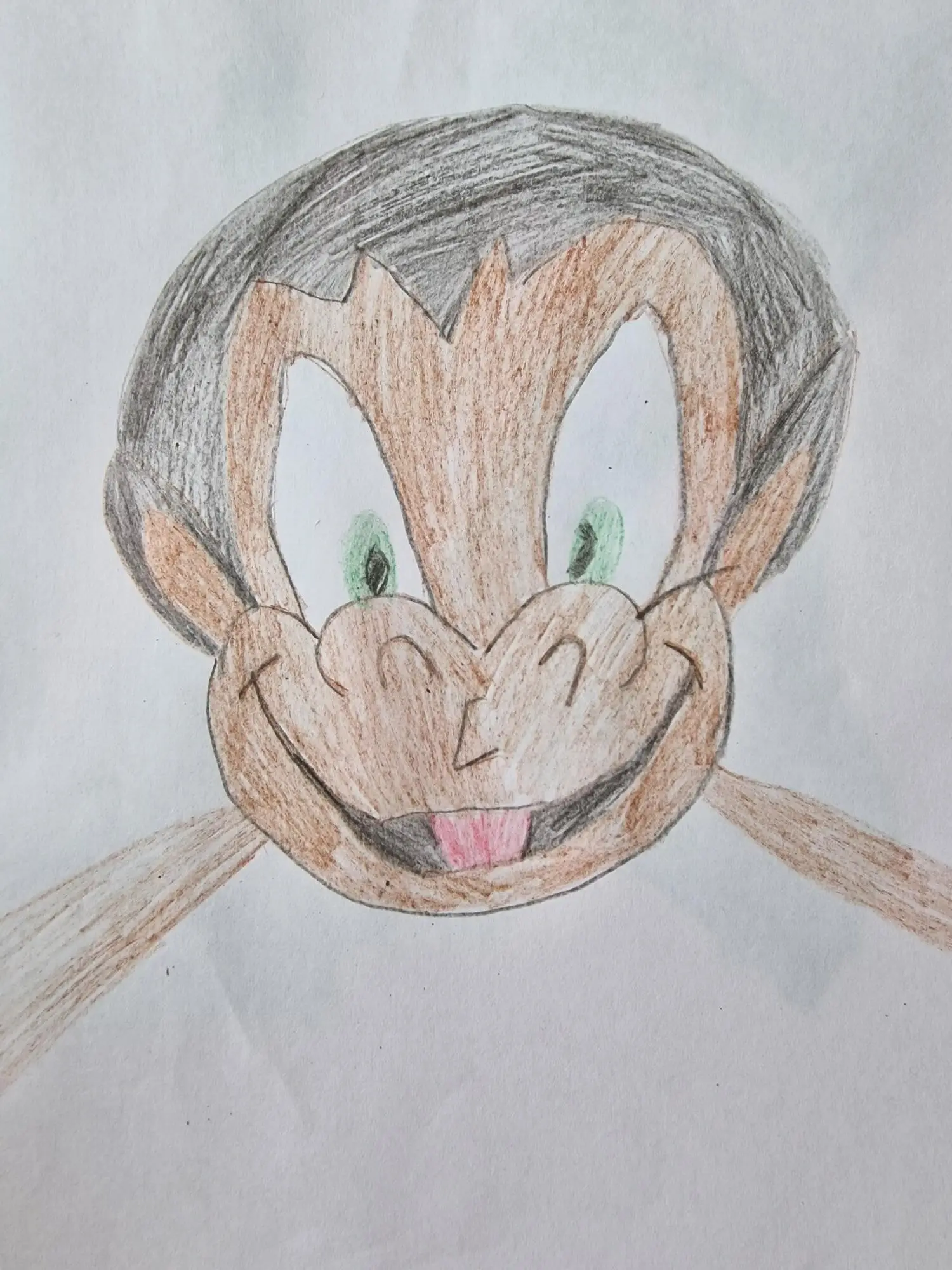drawing of animal face