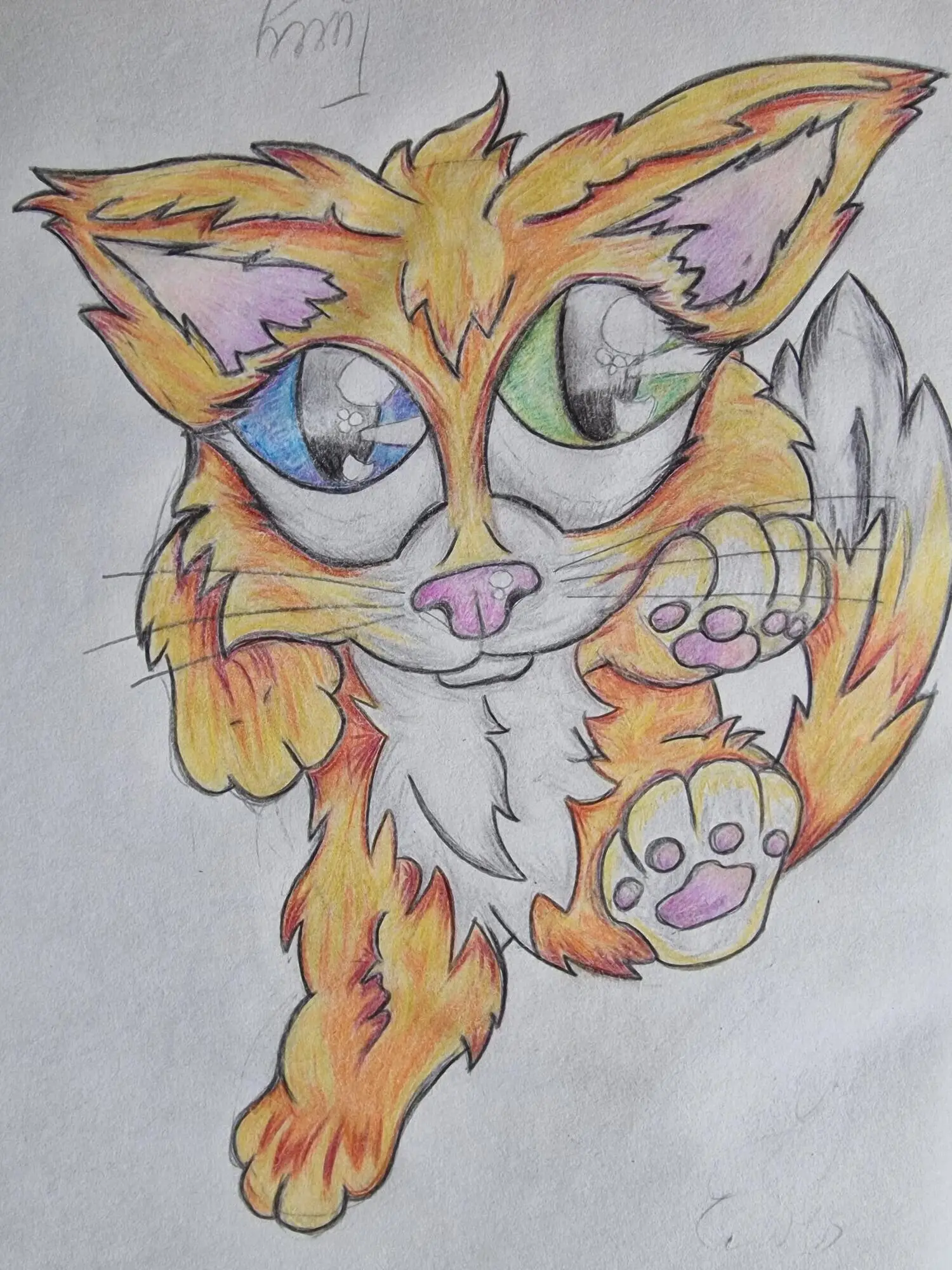 drawing of cat