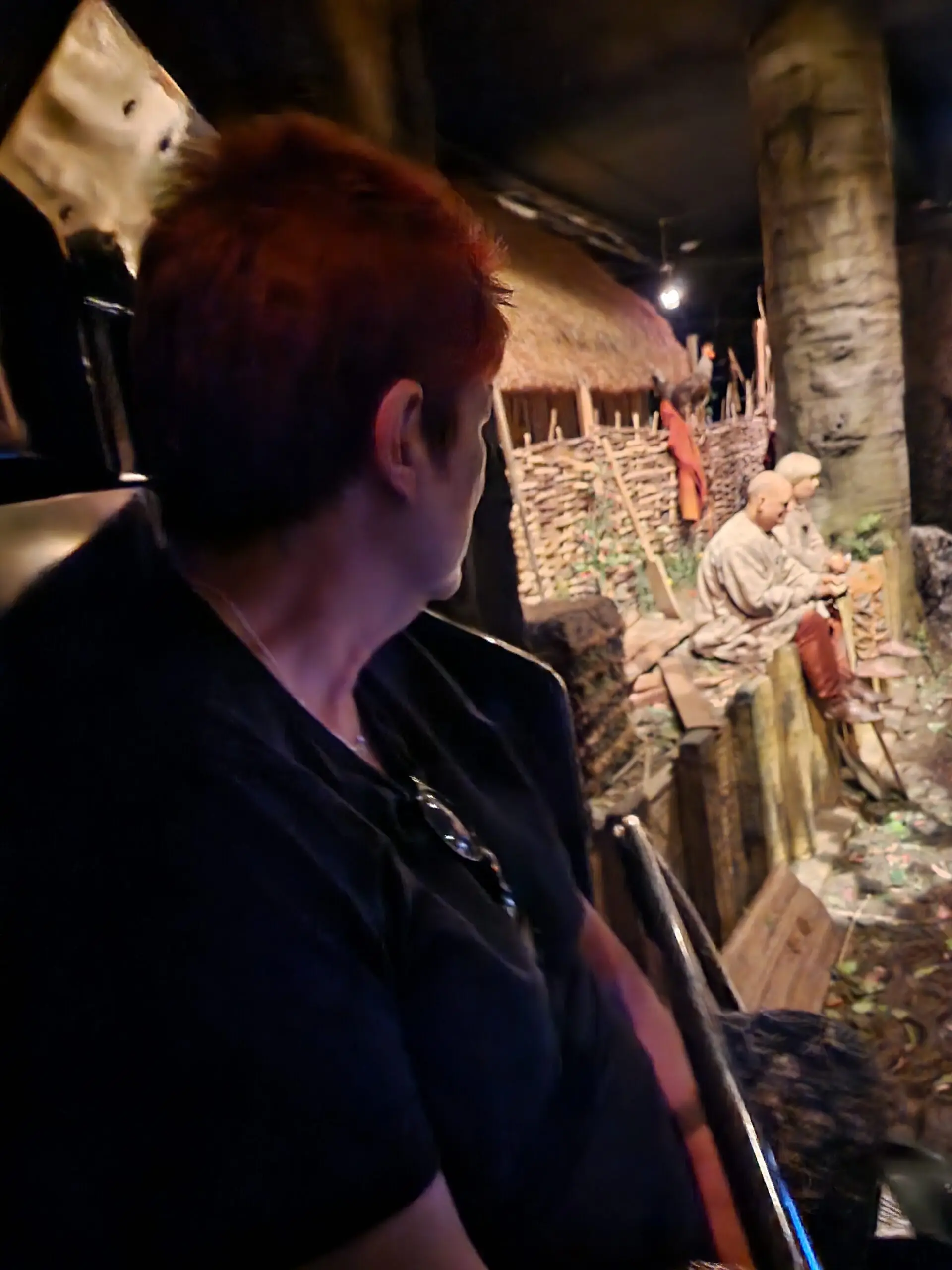 resident looking at vikings
