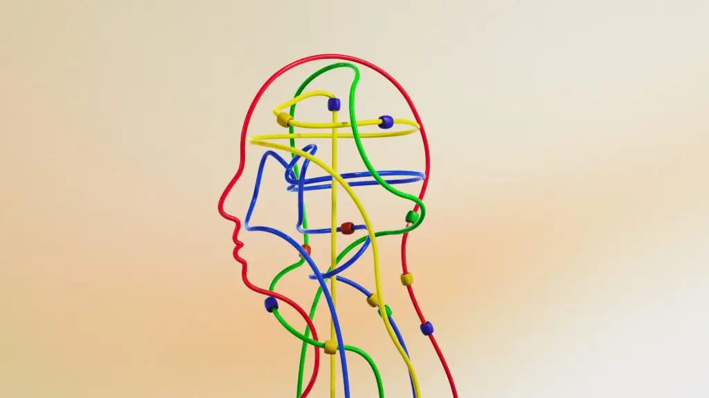Toy maze shapes like a head for a blog on mental health comorbidity