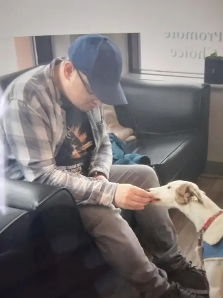 Dog Therapy