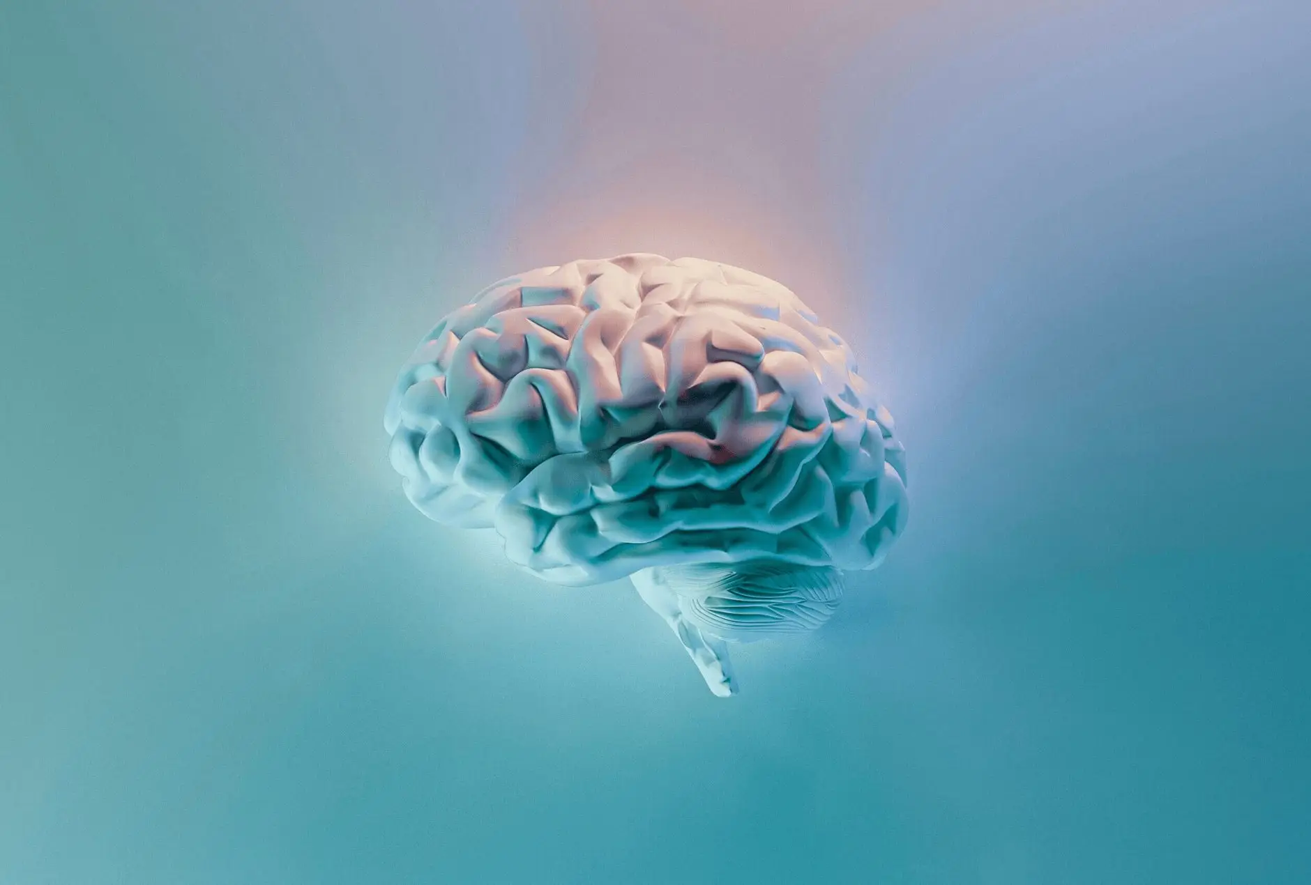 A brain to represent addiction, for a blog about the signs of an "addictive brain".