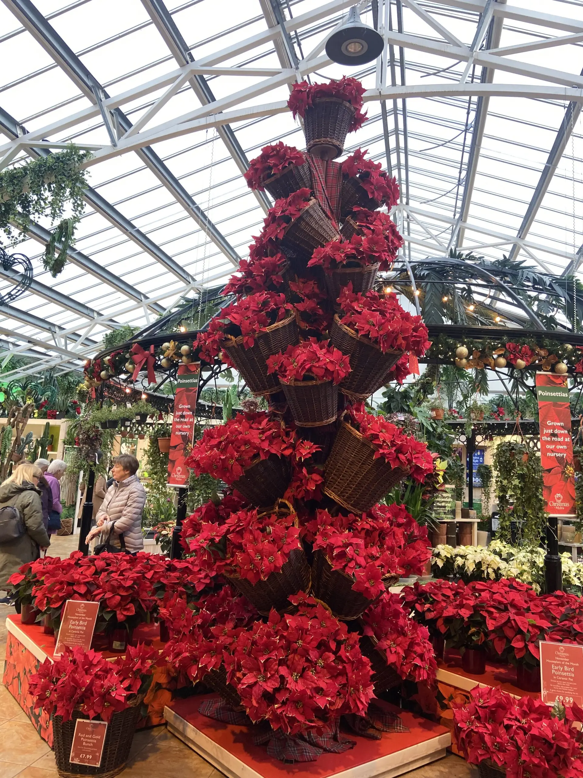 red christmas tree