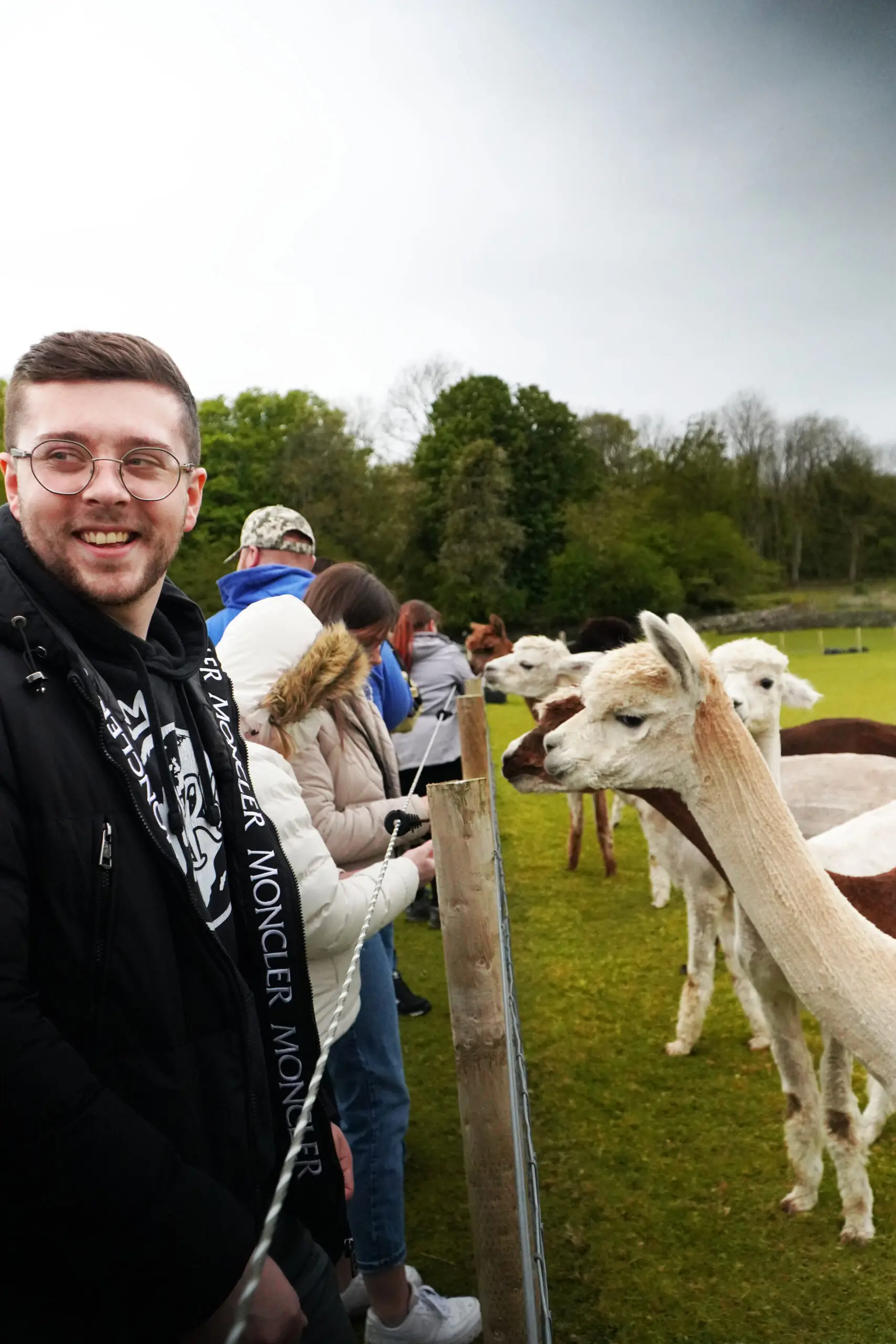 alpaca trekking