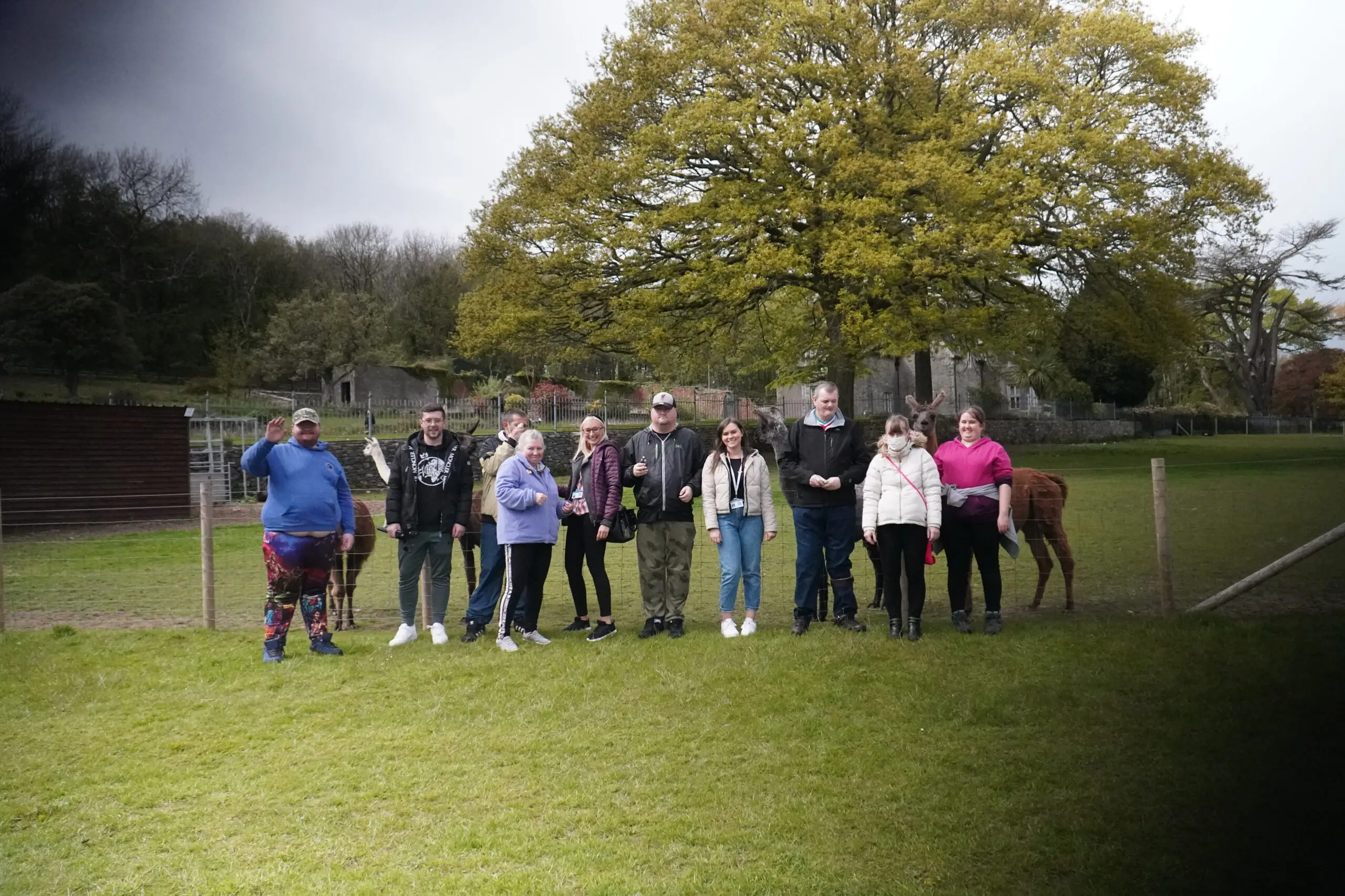 Mental Health Awareness Week: Alpaca Trekking