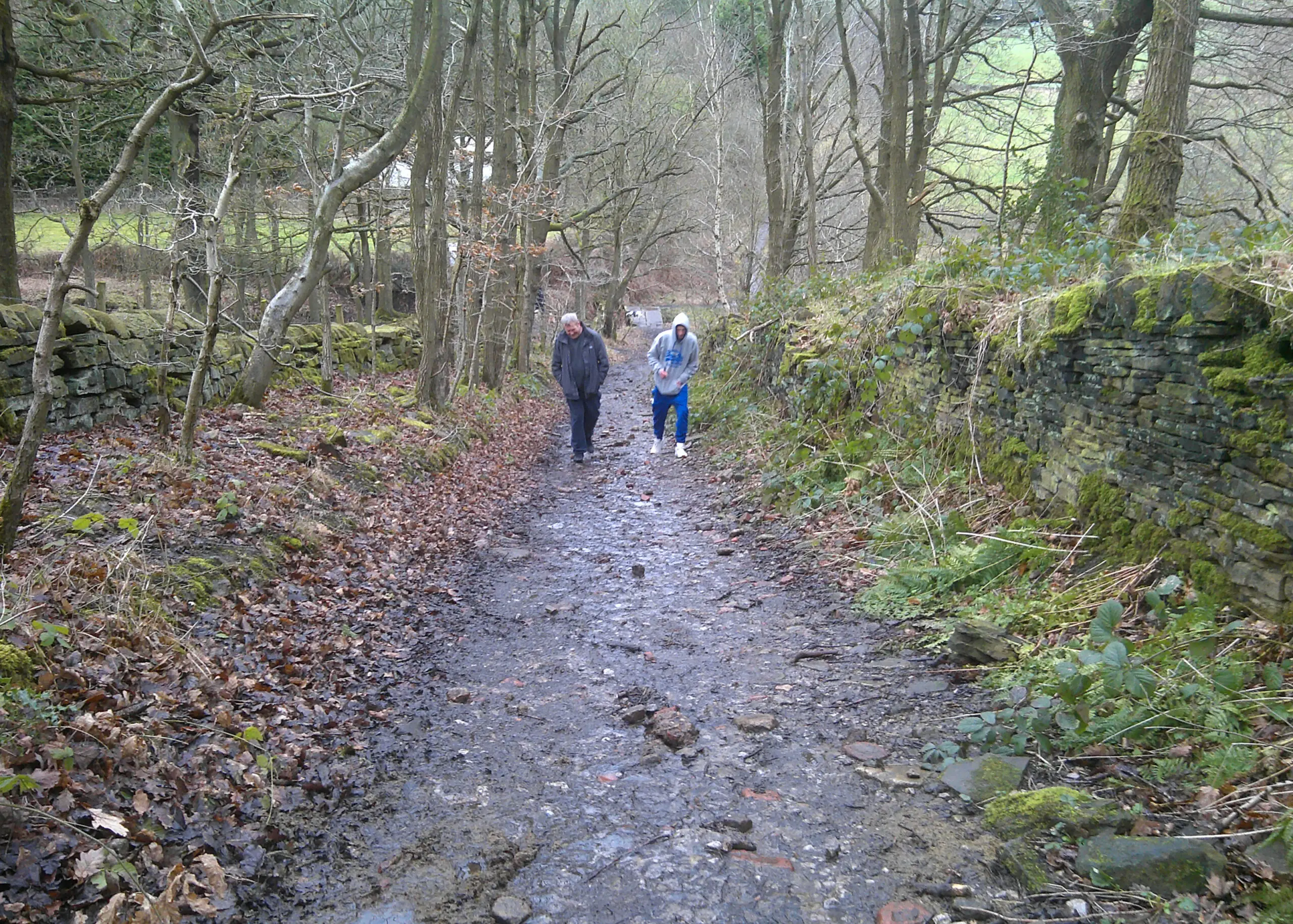 residents on woodland walk