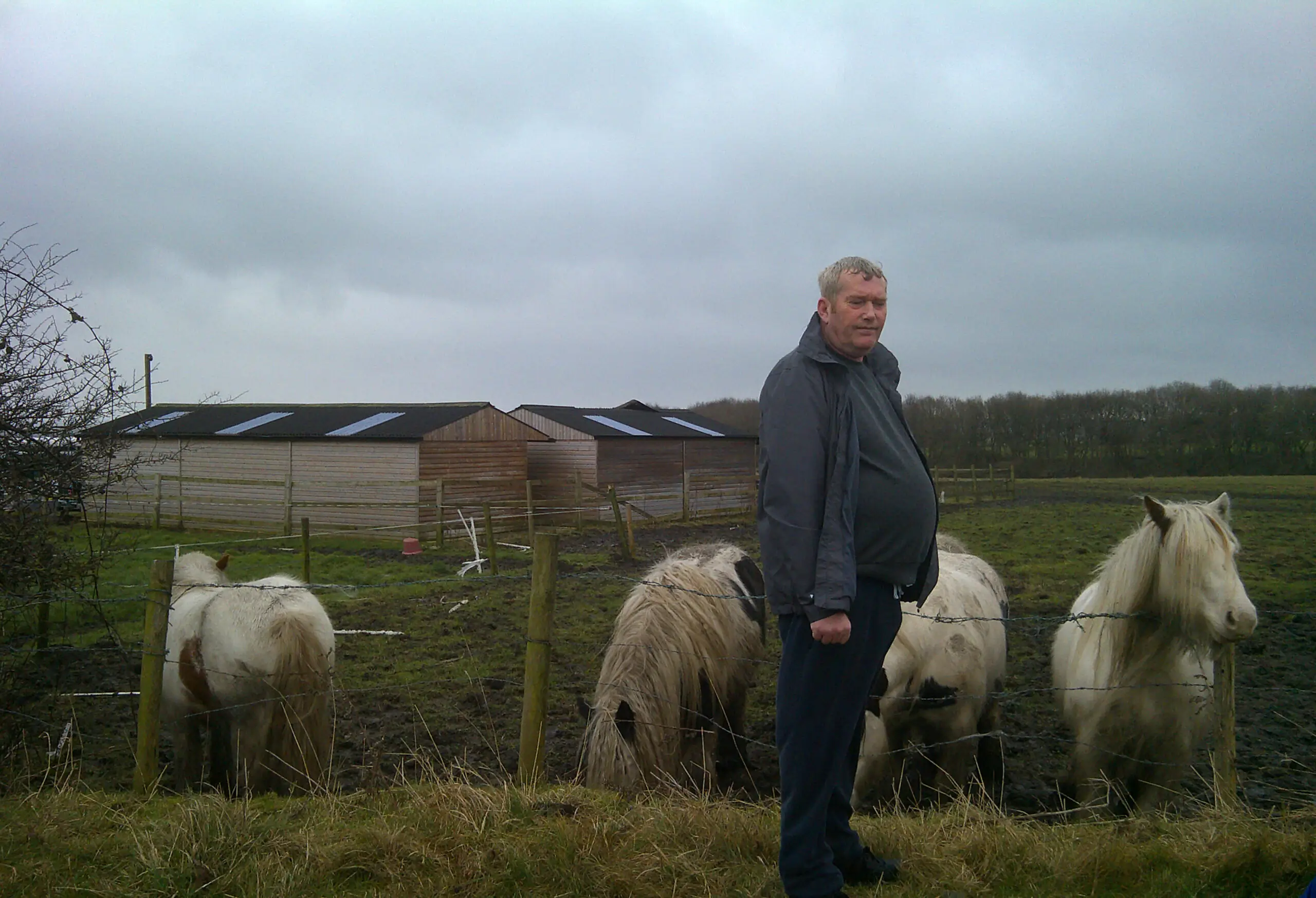 resident next to a field with white ponies