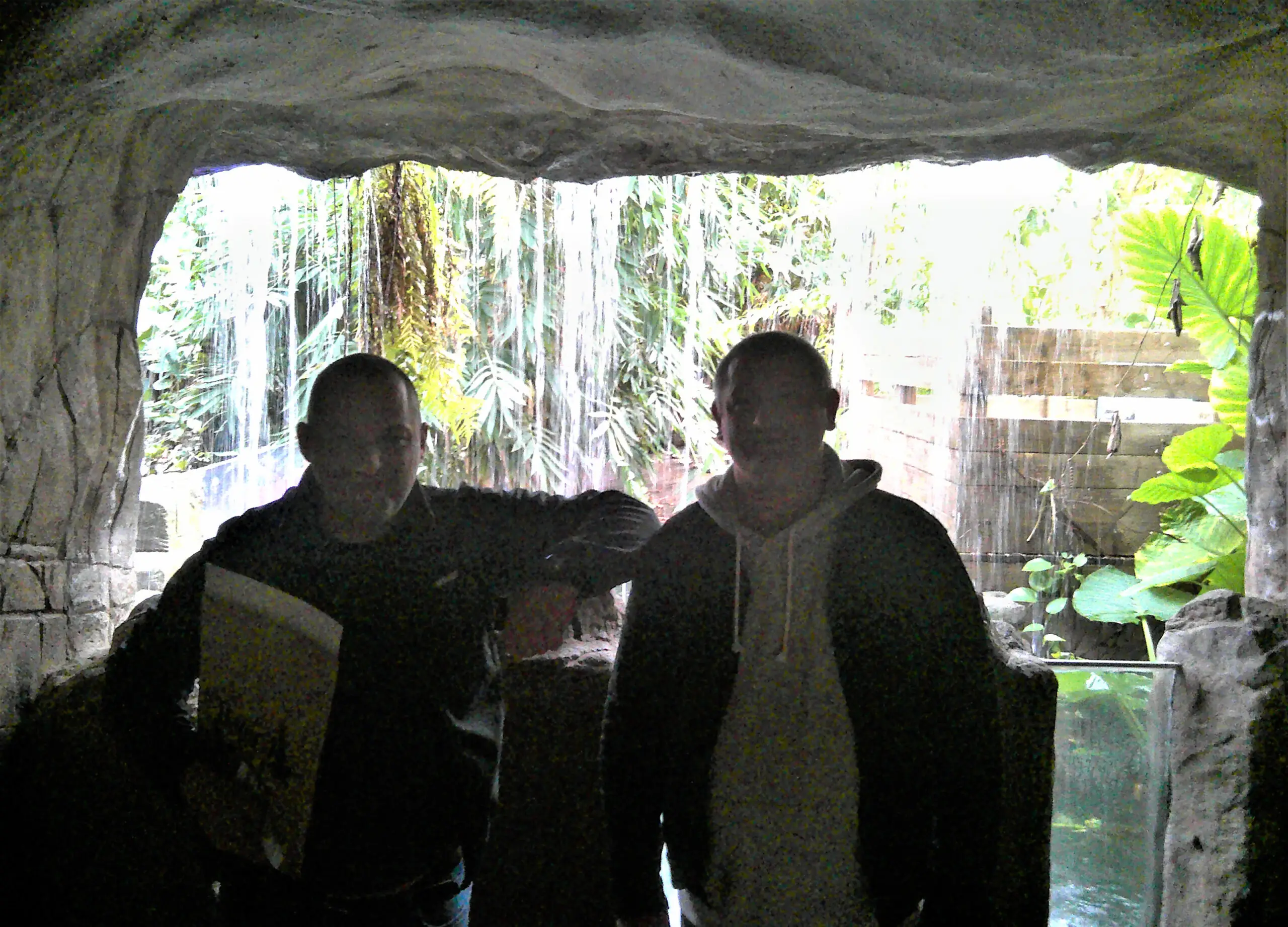 residents at tropical world