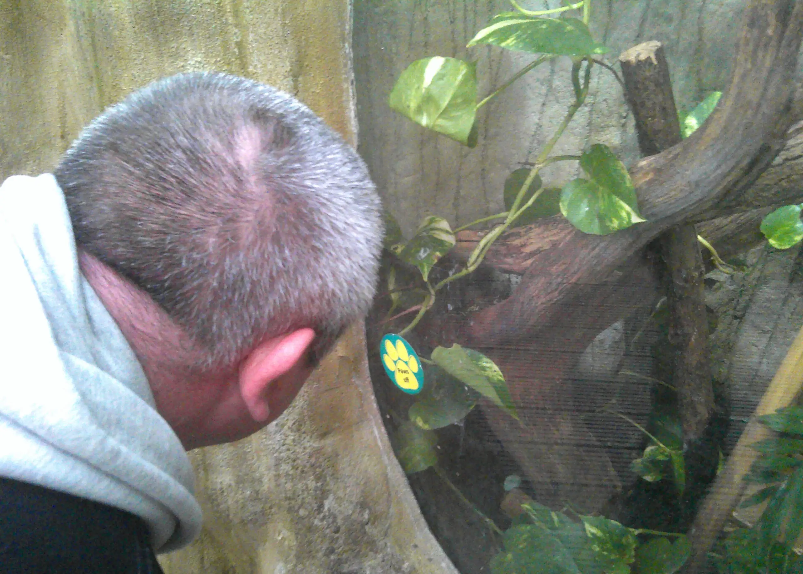 resident looking at animal