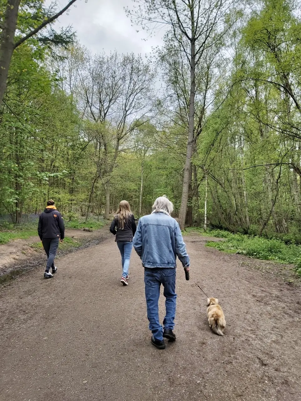 HPH walk